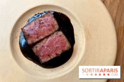 Masaikuta - Thon otoro, civet