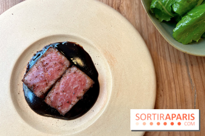 Masaikuta - Thon otoro, civet