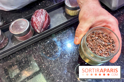 Atelier rocher praliné Edwart Chocolatier