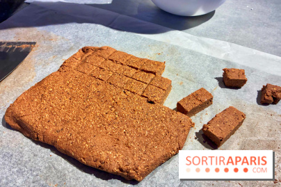 Atelier rocher praliné Edwart Chocolatier