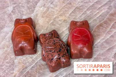 Atelier oursons en guimauve - IMG 4033