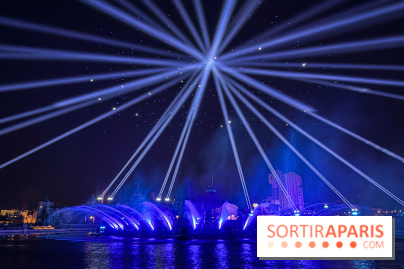 Disneyland Paris : Disney Cascade of Lights, le spectacle nocturne sur Adventure Bay - IMG 4897