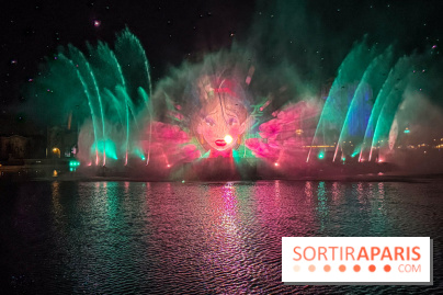 Disneyland Paris : Disney Cascade of Lights, le spectacle nocturne sur Adventure Bay - IMG 4910