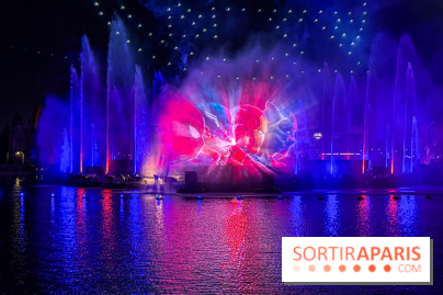 Disneyland Paris : Disney Cascade of Lights, le spectacle nocturne sur Adventure Bay - IMG 4990