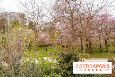 Les cerisiers du parc Martin Luther King - Clichy - Batignoles