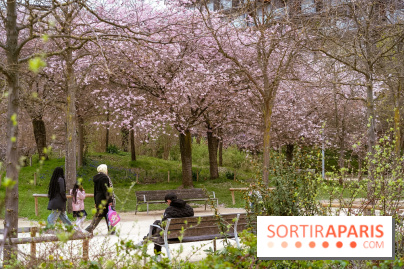 Les cerisiers du parc Martin Luther King - Clichy - Batignoles