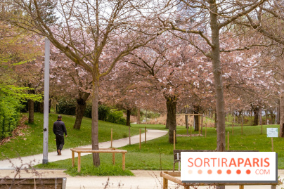 Les cerisiers du parc Martin Luther King - Clichy - Batignoles