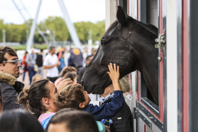 La Fête du Cheval, une journée familiale à l’Hippodrome d’Enghien-Soisy - BV BV 5646