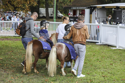La Fête du Cheval, une journée familiale à l’Hippodrome d’Enghien-Soisy - BV BV1 8422