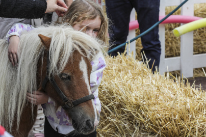 La Fête du Cheval, une journée familiale à l’Hippodrome d’Enghien-Soisy - BV 20250913143708BV1 8479