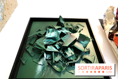 Street Nature Forte 2026, nos photos de l'expo à découvrir dans le 10e à Paris