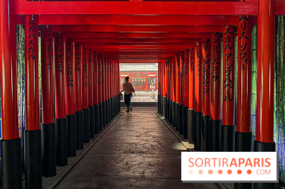 Passion Japon : exposition, installations immersives et street food japonaise à La Villette, à Paris - IMG 7253