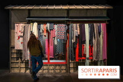 Passion Japon : exposition, installations immersives et street food japonaise à La Villette, à Paris - IMG 7284