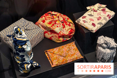 Passion Japon : exposition, installations immersives et street food japonaise à La Villette, à Paris - IMG 7320