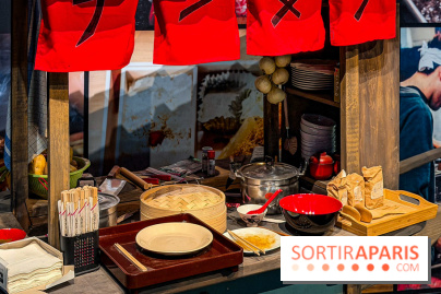 Passion Japon : exposition, installations immersives et street food japonaise à La Villette, à Paris - IMG 7364