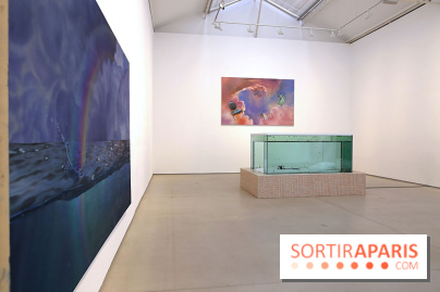 Exposition Glass Slipper d'Ariana Papademetropoulos à la galerie Thaddaeus Ropac Marais, nos photos