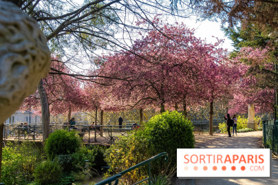 Les pommiers et cerisiers en fleurs du Jardin de Reuilly, Parc de Reuilly à Paris 12e - photos