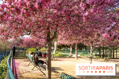 Les pommiers et cerisiers en fleurs du Jardin de Reuilly, Parc de Reuilly à Paris 12e - photos  - détente