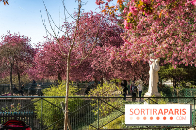 Les pommiers et cerisiers en fleurs du Jardin de Reuilly, Parc de Reuilly à Paris 12e - photos