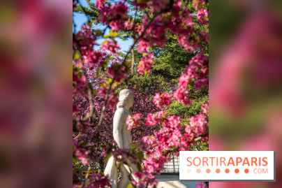 Les pommiers et cerisiers en fleurs du Jardin de Reuilly, Parc de Reuilly à Paris 12e - photos