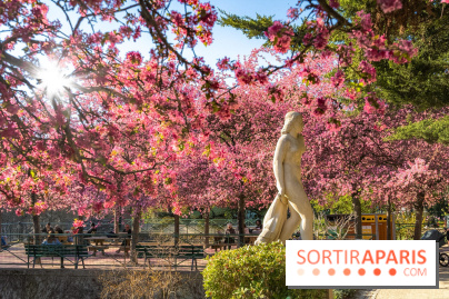 Les pommiers et cerisiers en fleurs du Jardin de Reuilly, Parc de Reuilly à Paris 12e - photos  - visuel