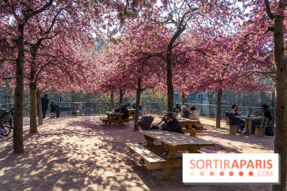 Les pommiers et cerisiers en fleurs du Jardin de Reuilly, Parc de Reuilly à Paris 12e - photos  - pique nique 