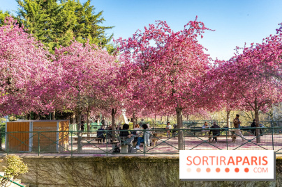 Les pommiers et cerisiers en fleurs du Jardin de Reuilly, Parc de Reuilly à Paris 12e - photos  - table pique nique 