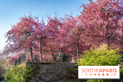 Les pommiers et cerisiers en fleurs du Jardin de Reuilly, Parc de Reuilly à Paris 12e - photos