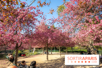 Les pommiers et cerisiers en fleurs du Jardin de Reuilly, Parc de Reuilly à Paris 12e - photos  - bosquet