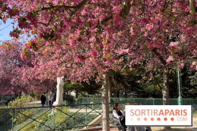 Les pommiers et cerisiers en fleurs du Jardin de Reuilly, Parc de Reuilly à Paris 12e - photos  - copine