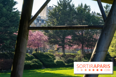 Les pommiers et cerisiers en fleurs du Jardin de Reuilly, Parc de Reuilly à Paris 12e - photos