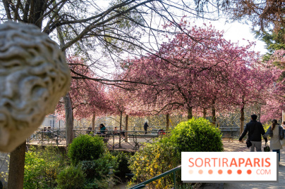 Les pommiers et cerisiers en fleurs du Jardin de Reuilly, Parc de Reuilly à Paris 12e - photos