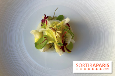 Alliance - Tourteau en fine raviole de radis, mayonnaise maison, huile curry, pomme verte 