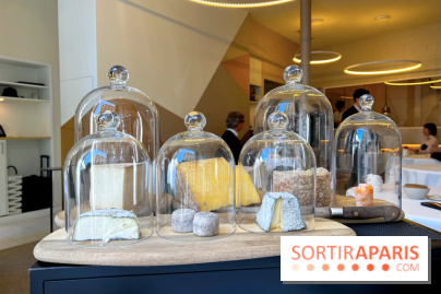 Alliance - Crottin cendré, Vermenton, Langres, Fourme d'Ambert, Laguiole, tomme de brebis