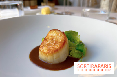 Alliance - Noix de Saint-Jacques à l'unilatéral, chou de Bruxelles, sauce réduite au vin rouge et barbes 