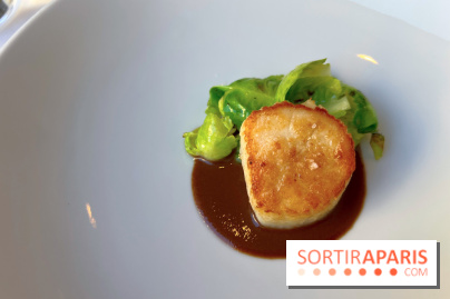 Alliance - Noix de Saint-Jacques à l'unilatéral, chou de Bruxelles, sauce réduite au vin rouge et barbes 