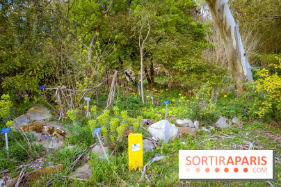 Le jardin botanique de Launay et arboretum de l'Université Paris Saclay à Orsay - les photos - A7C09556