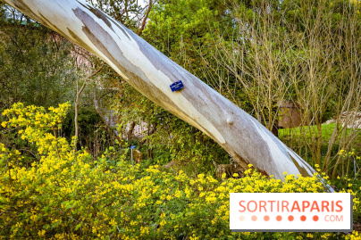 Le jardin botanique de Launay et arboretum de l'Université Paris Saclay à Orsay - les photos
