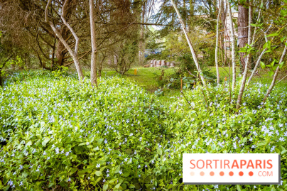 Le jardin botanique de Launay et arboretum de l'Université Paris Saclay à Orsay - les photos