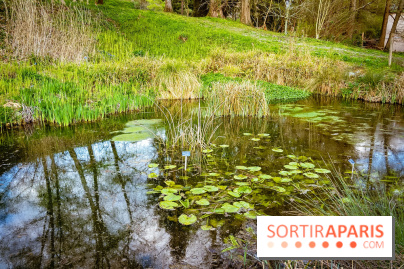 Le jardin botanique de Launay et arboretum de l'Université Paris Saclay à Orsay - les photos