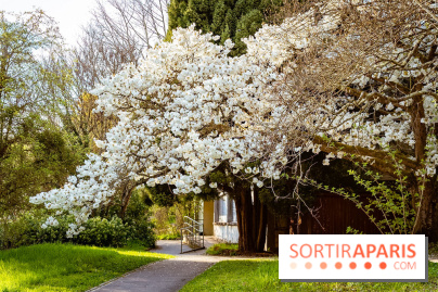 Le jardin botanique de Launay et arboretum de l'Université Paris Saclay à Orsay - les photos