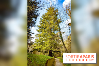 Le jardin botanique de Launay et arboretum de l'Université Paris Saclay à Orsay - les photos
