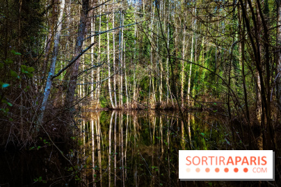 Le jardin botanique de Launay et arboretum de l'Université Paris Saclay à Orsay - les photos - A7C09596