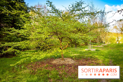 Le jardin botanique de Launay et arboretum de l'Université Paris Saclay à Orsay - les photos