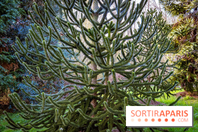 Le jardin botanique de Launay et arboretum de l'Université Paris Saclay à Orsay - les photos