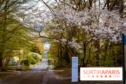 Le jardin botanique de Launay et arboretum de l'Université Paris Saclay à Orsay - les photos - A7C09607