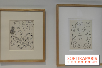 Matisse 1941-1954 : la grande exposition rétrospective sur le peintre incontournable au Grand Palais - fotor 1774268135401