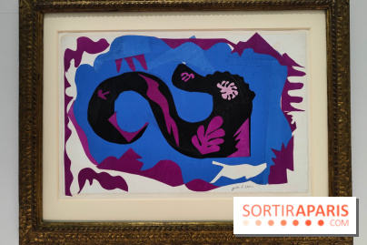 Matisse 1941-1954 : la grande exposition rétrospective sur le peintre incontournable au Grand Palais - fotor 1774268065938