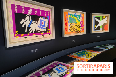 Matisse 1941-1954 : la grande exposition rétrospective sur le peintre incontournable au Grand Palais