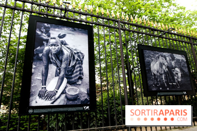 Fragilités & Résiliences, nos photos de l'expo dévoilée sur les grilles du Jardin du Luxembourg